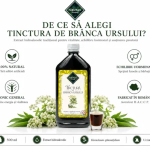 Tinctură de Brânca Ursului 500ml – SolisPlant Avrămuț