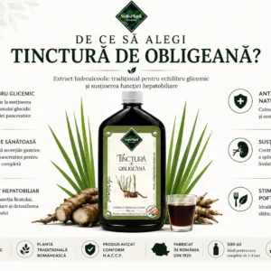 Tinctură de Obligeană 500ml- SolisPlant Avrămuț