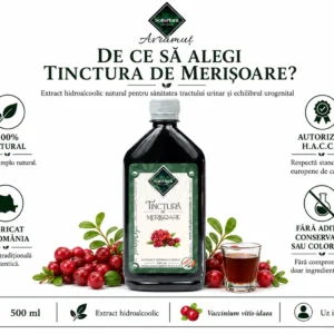 Tinctură de Merișoare 500ml – SolisPlant Avrămuț